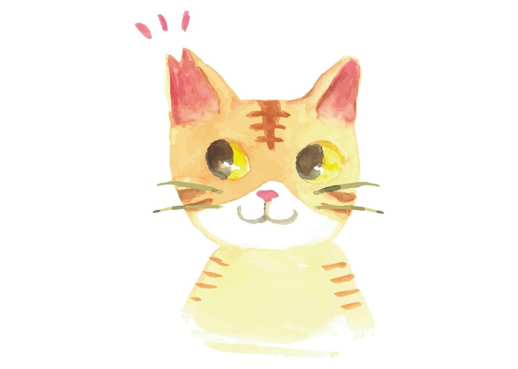 地域猫活動