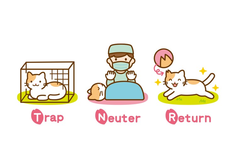 TNR活動